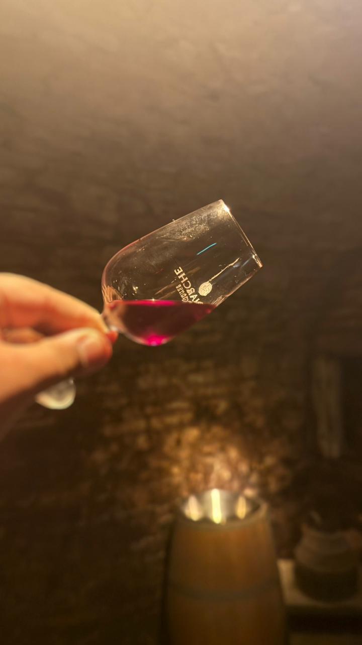 A hand holding a tasting glass of red wine inside a softly lit cellar